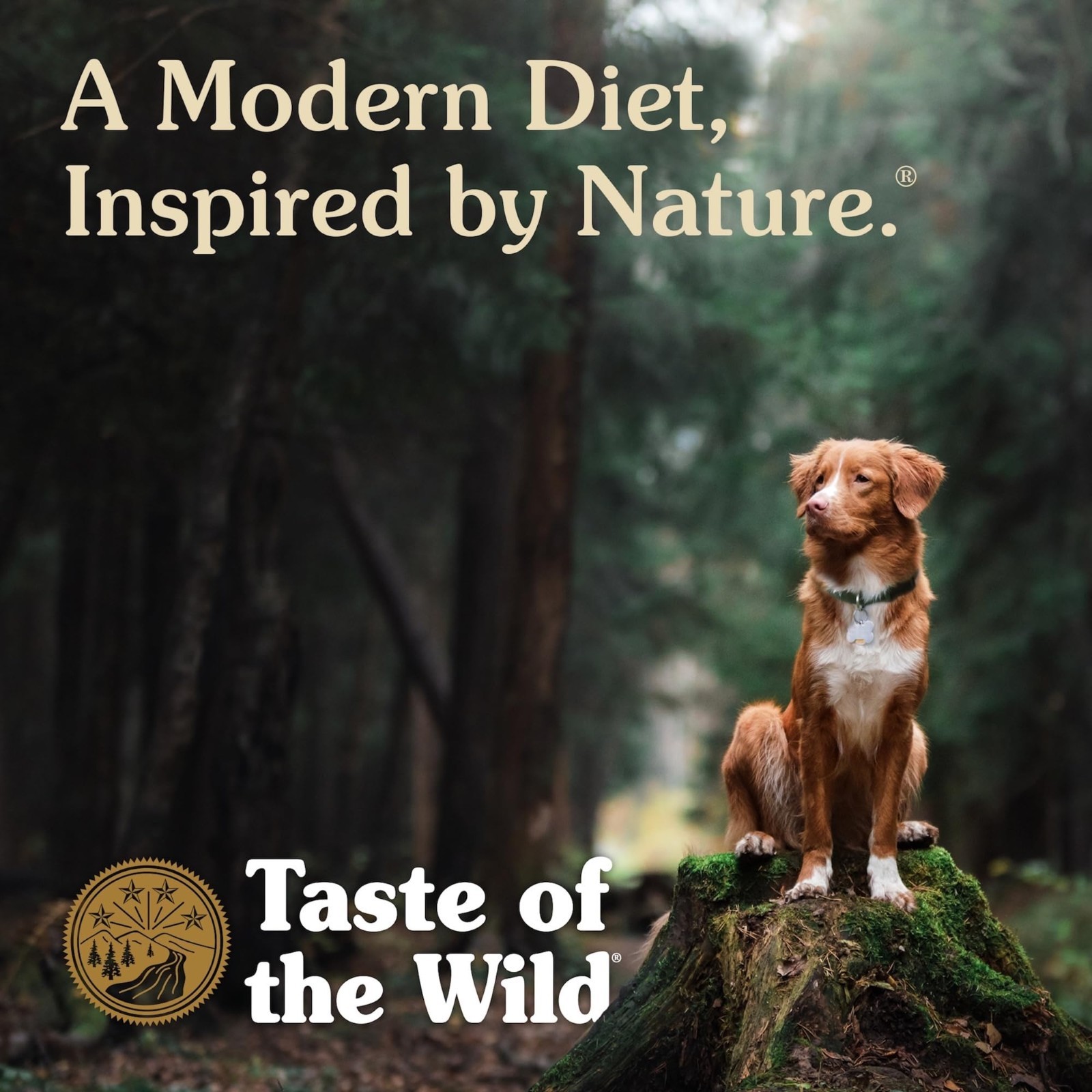 Taste of the Wild High Prairie Dry Dog Food with Roasted Bison and Venison,28lb