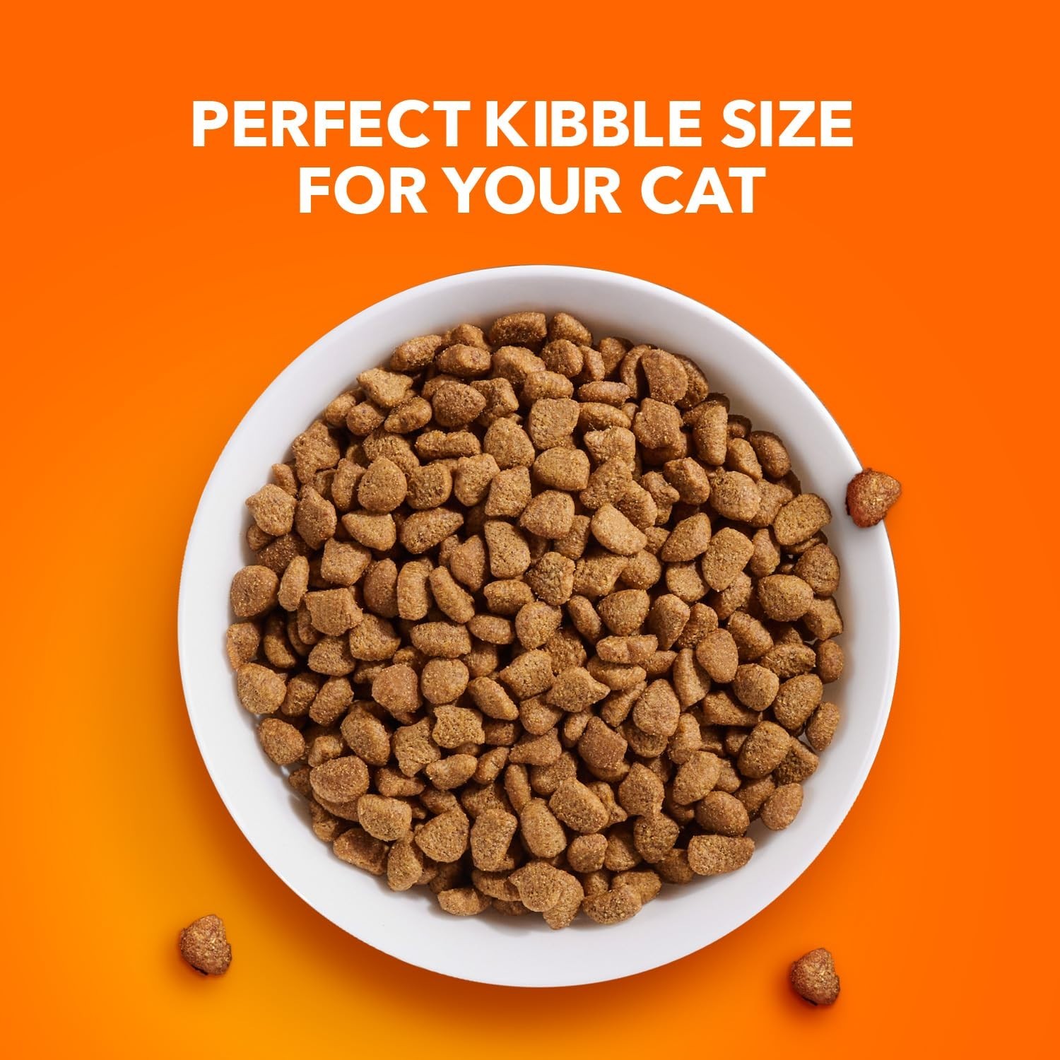 IAMS Proactive Health Adult Dry Cat Food,Sensitive Digestion & Skin,Turkey, 6lb