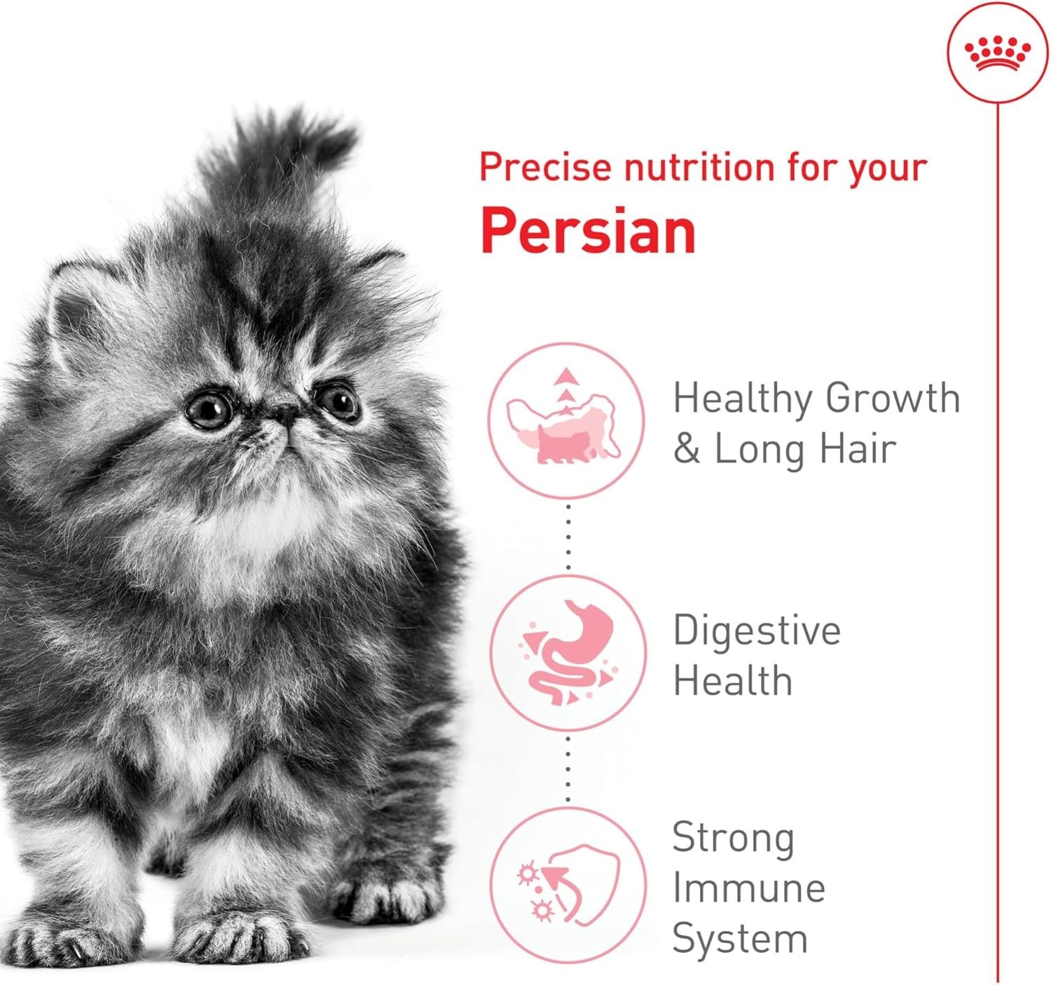 Royal Canin Feline Breed Nutrition Persian Kitten Dry Cat Food, 3 lbs