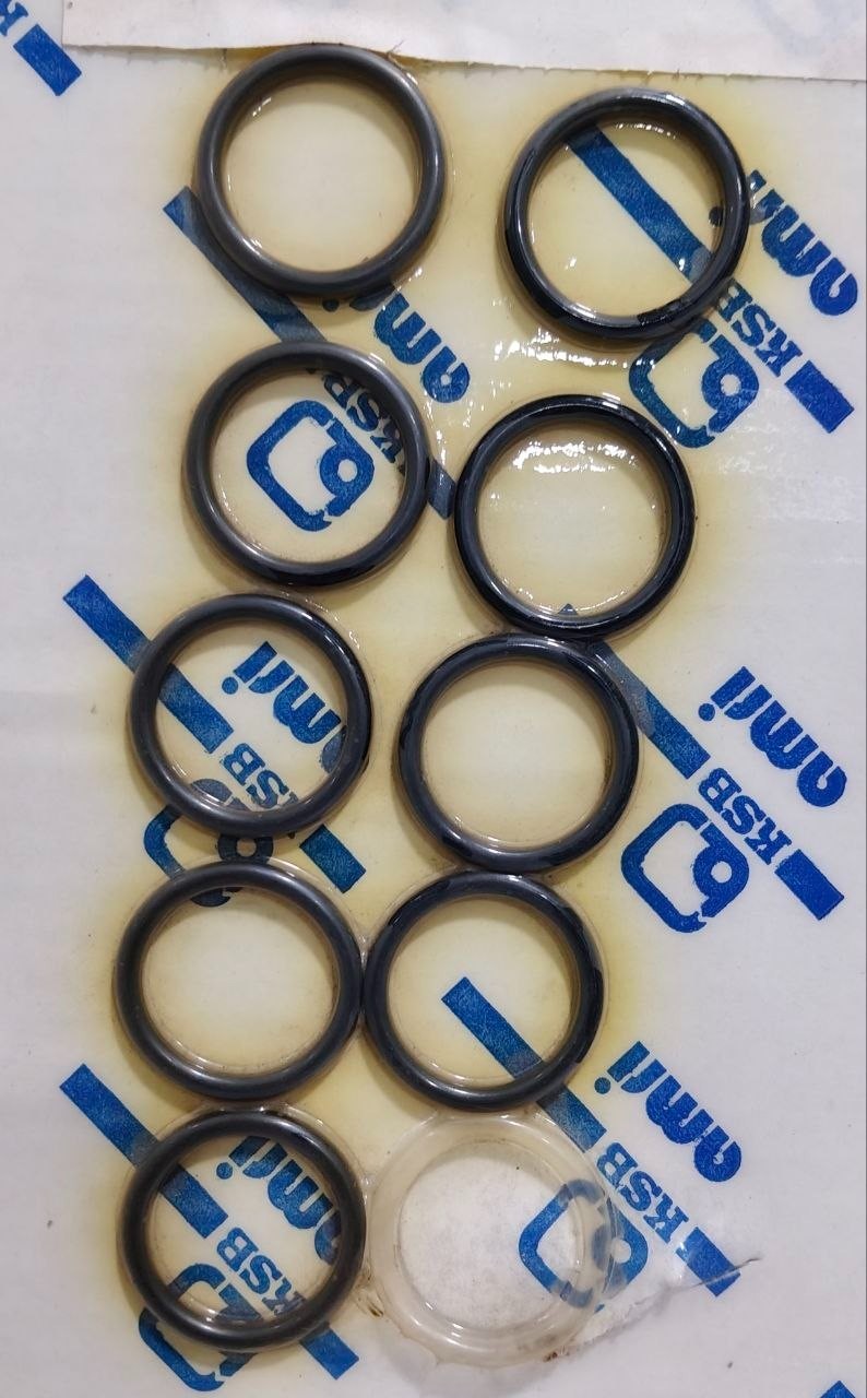 KSB Amri 303 Plug 307 Ring L-H71-405-A For Cryogenic Butterfly Valve 381.10.10.0