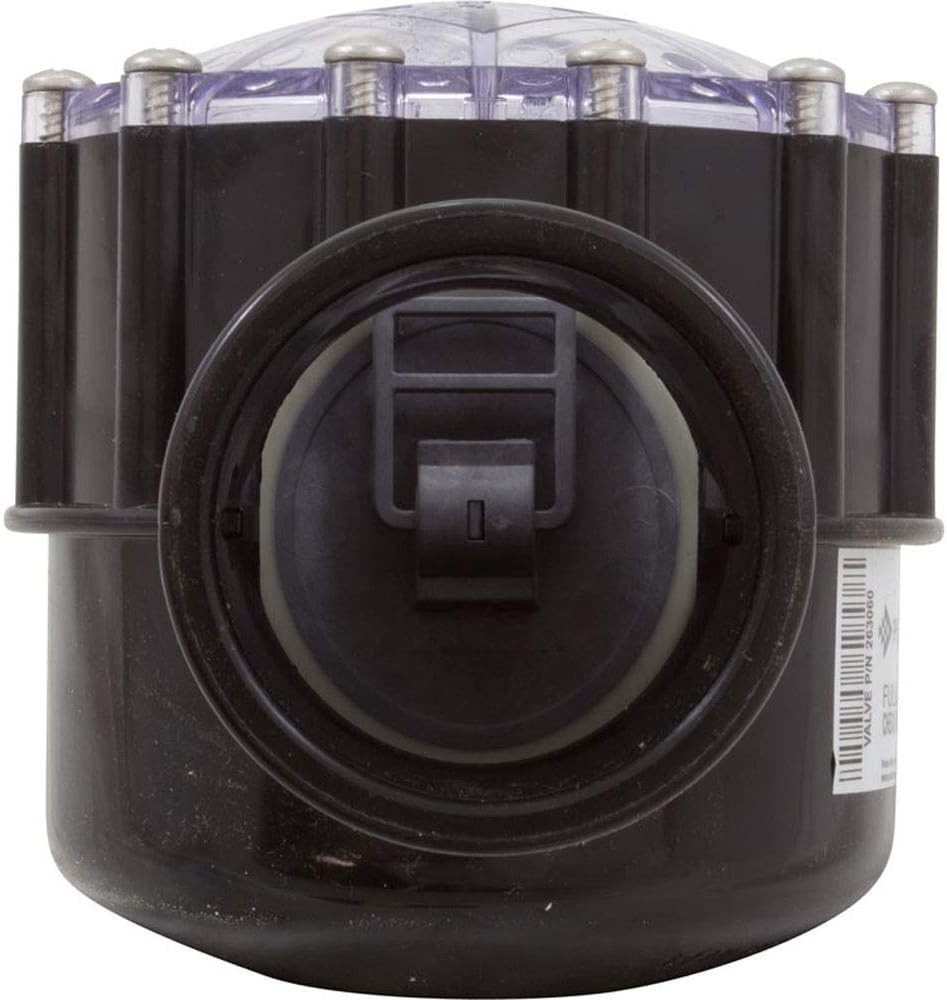 Pentair 263060 2-Way CPVC 2-1/2 Inch (3 Inch Slip Outside) Pool and Spa Check Va
