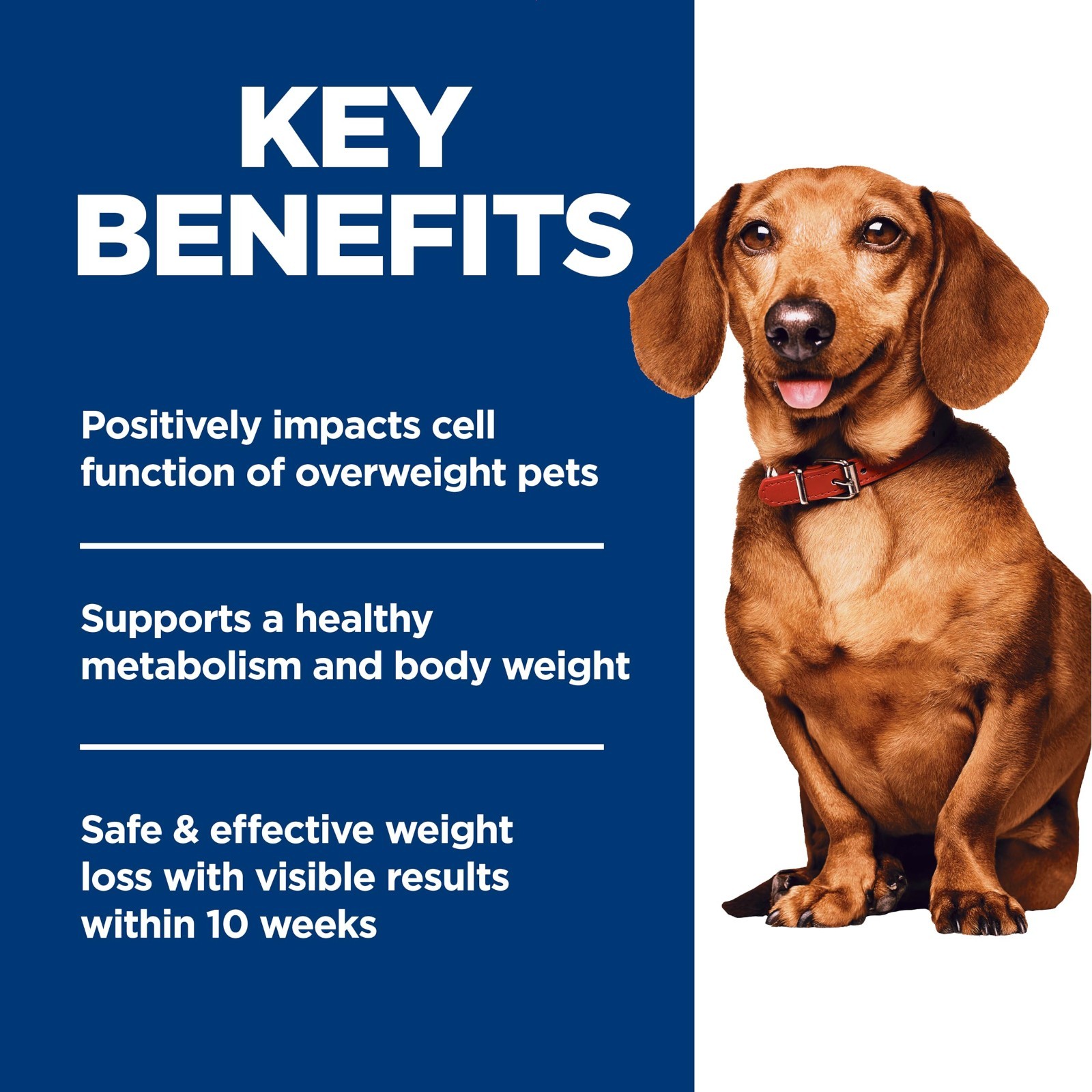 Hill’s Science Diet Perfect Weight, Adult 1-6, Small & Mini Breeds Weight Manage