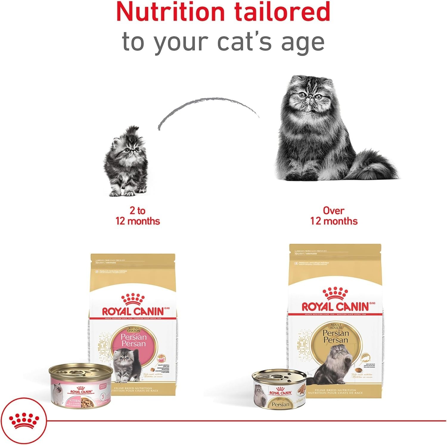 Royal Canin Feline Breed Nutrition Persian Kitten Dry Cat Food, 3 lbs