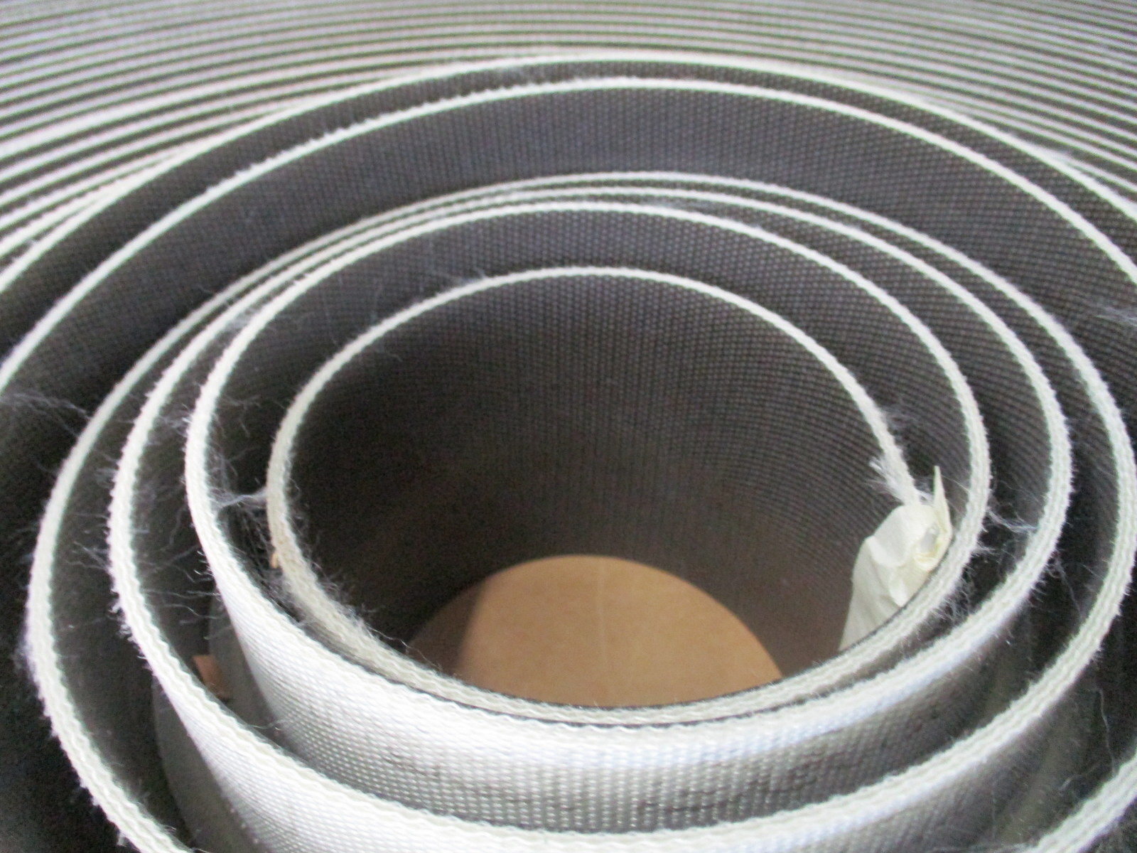 Ammeraal Beltech 81048700 Drive Belt