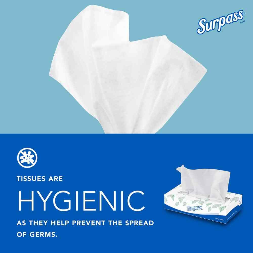 30 Boxes Scott 100 Sheet Flat Box of White Facial Tissues, 2 Ply