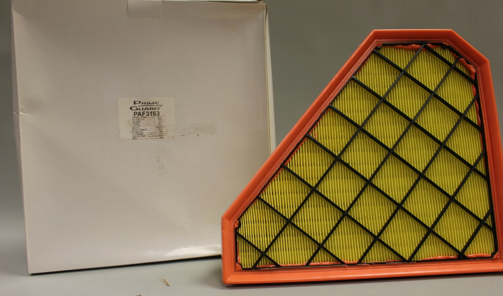Prime Guard Air Filter – PAF3163 – A90051 – New