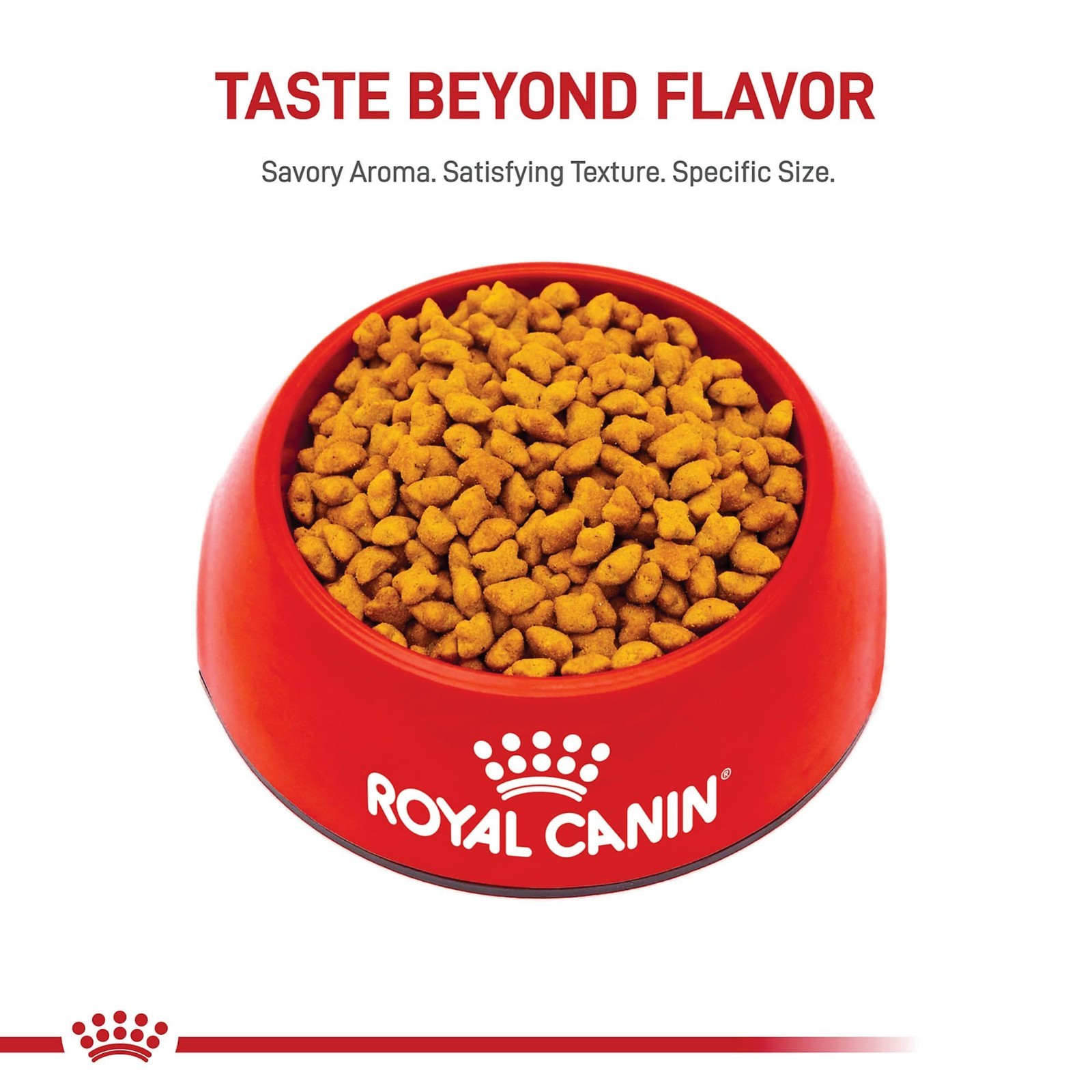 2 PACK Royal Canin Feline Health Nutrition Spayed/Neutered Kitten Dry Cat, 2.5lb