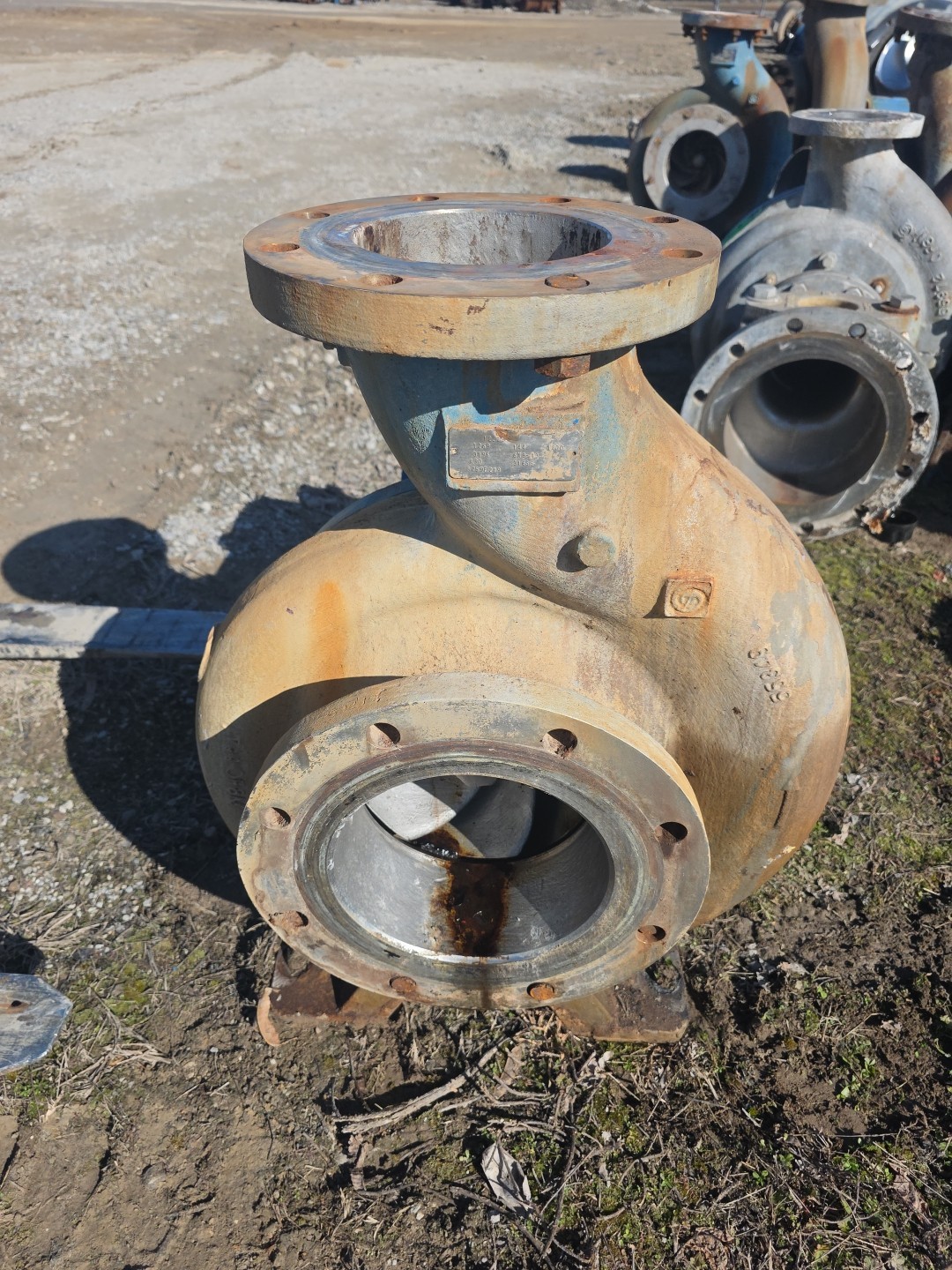 6X8-13 Goulds 3196XLT IFrame Pump 316SS