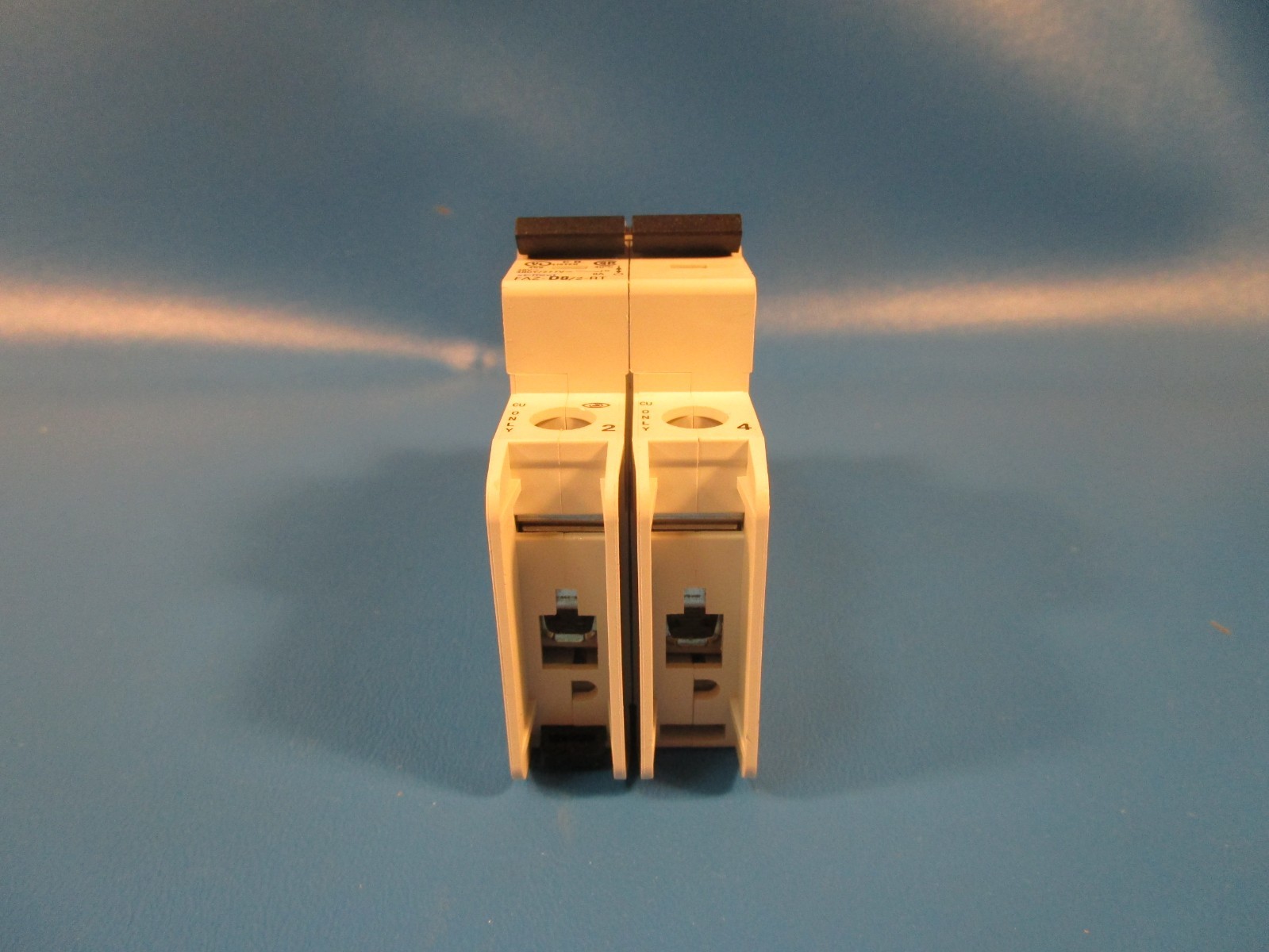 EATON FAZ-D8/2-RT, Industrial Miniature Circuit Breaker, 8 A, 2 Pole, 277 V