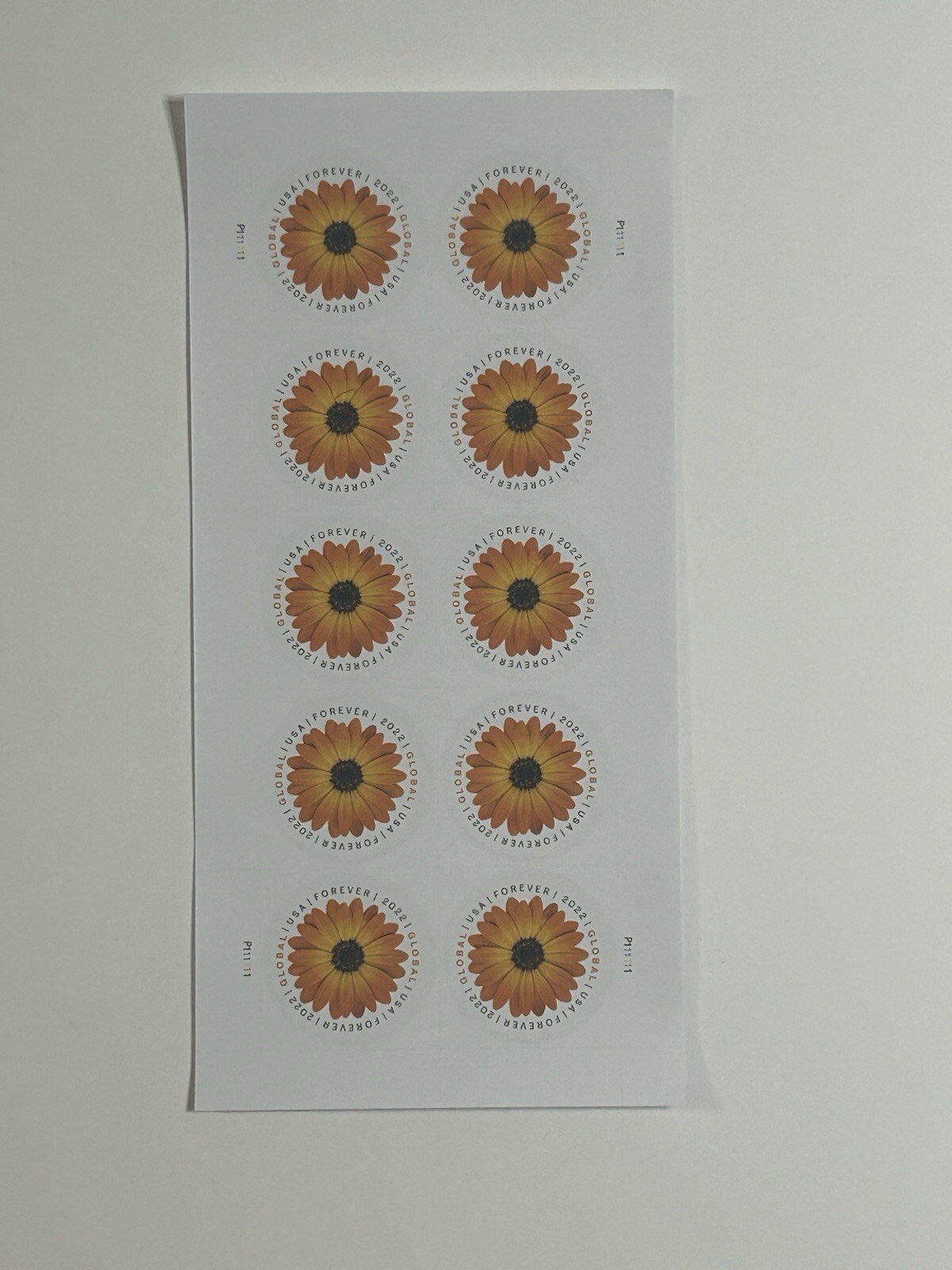 1 Sheet African Daisy Global Postage