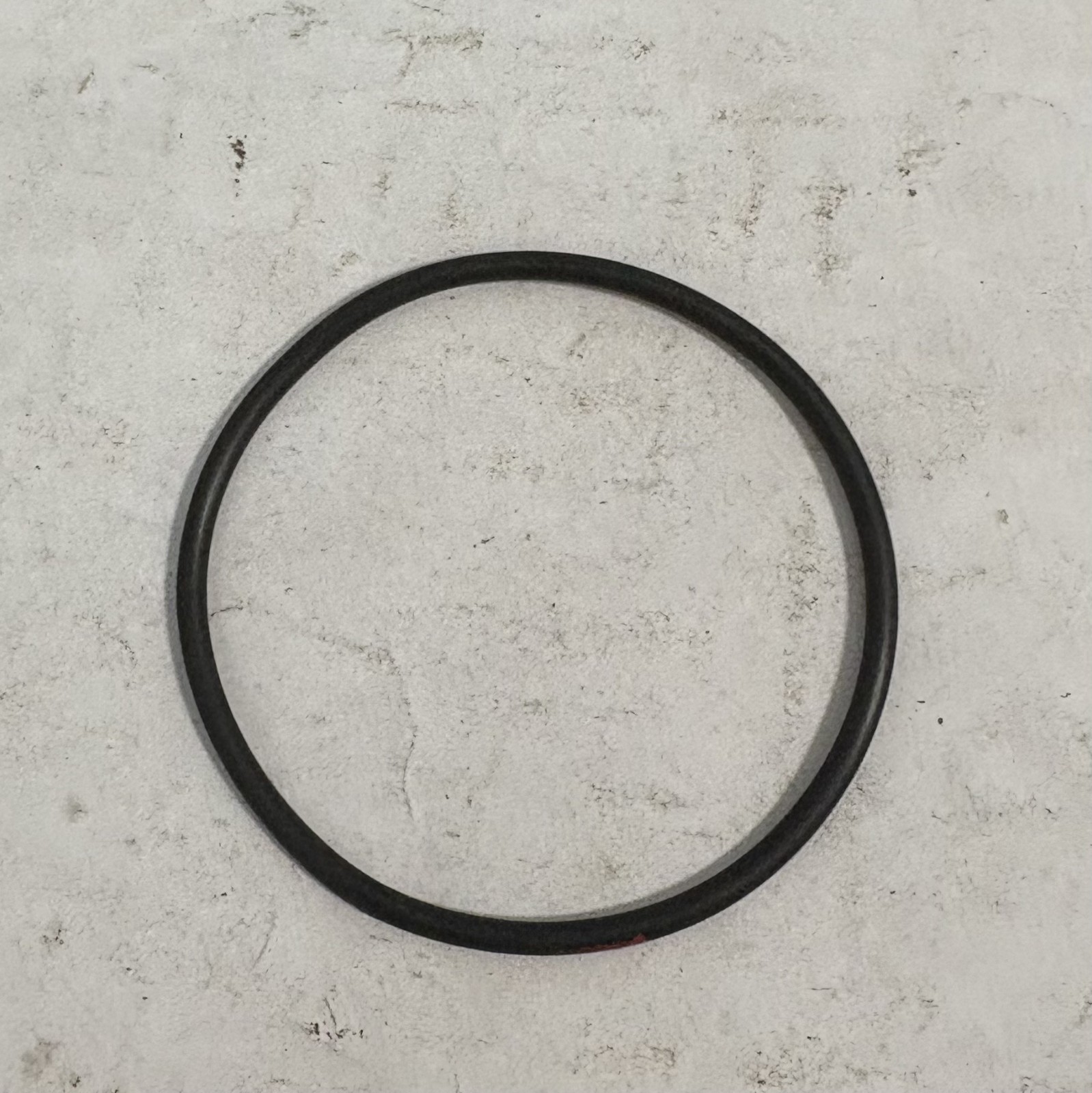 New Pentair Teflon Coated O Ring #2-139