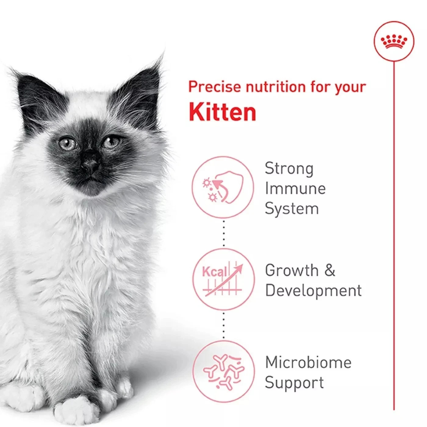 Royal Canin Feline Health Nutrition Kitten Dry Cat Food, 14 lb