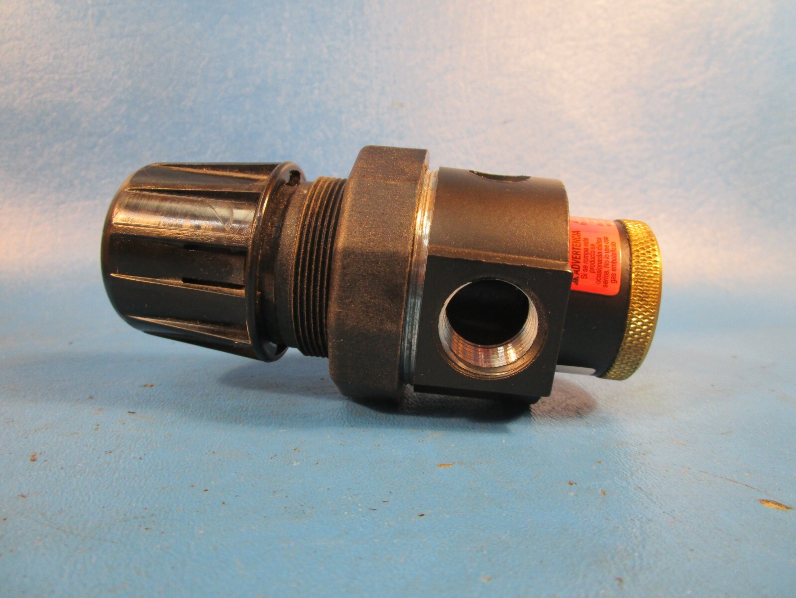 Watts R10-04A/M3 Pressure Regulator, 21 Bar/300 PSI Max, 1/2 NPT