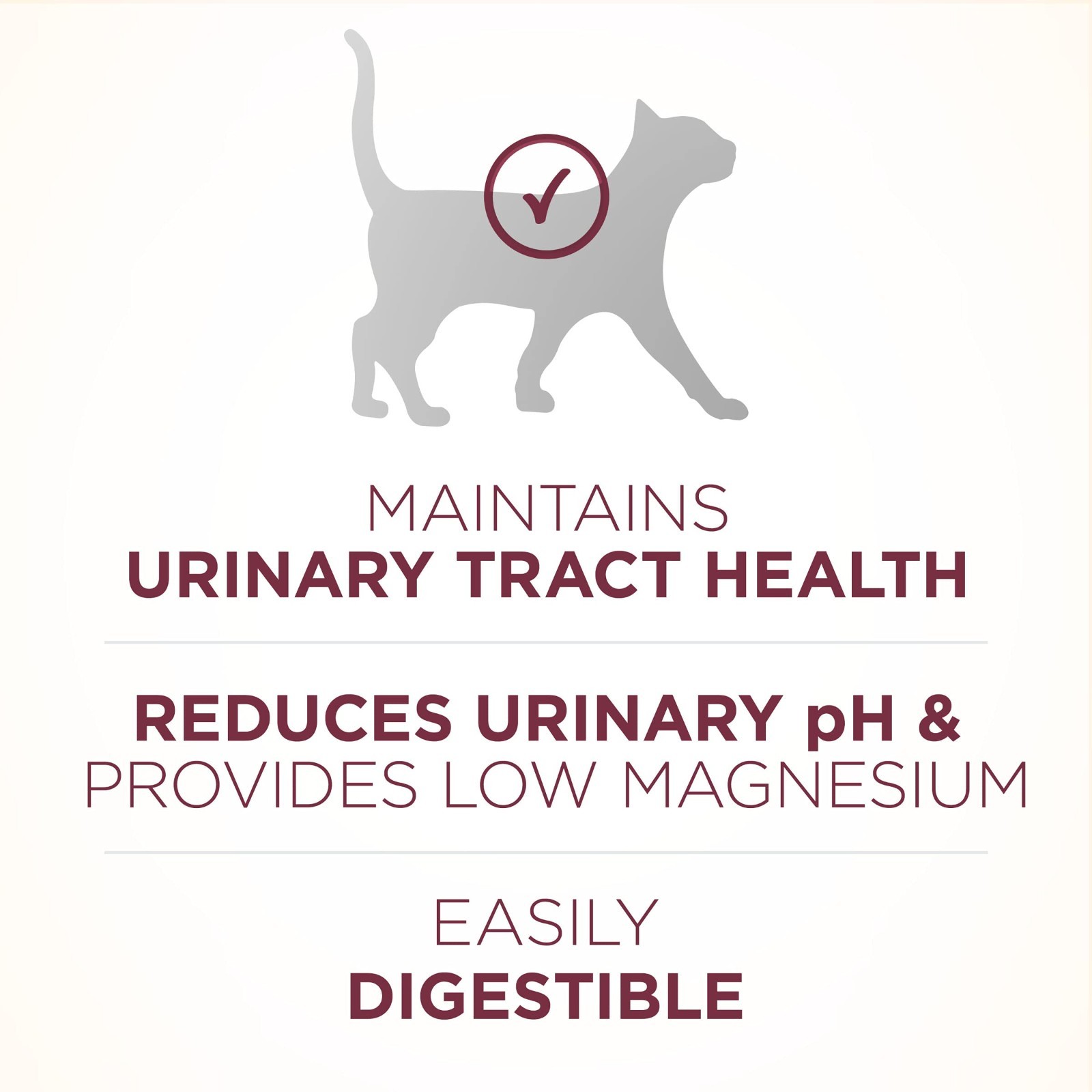 Purina ONE High Protein Dry Cat Food,+Plus Urinary Tract Health Formula 16lb,2PK