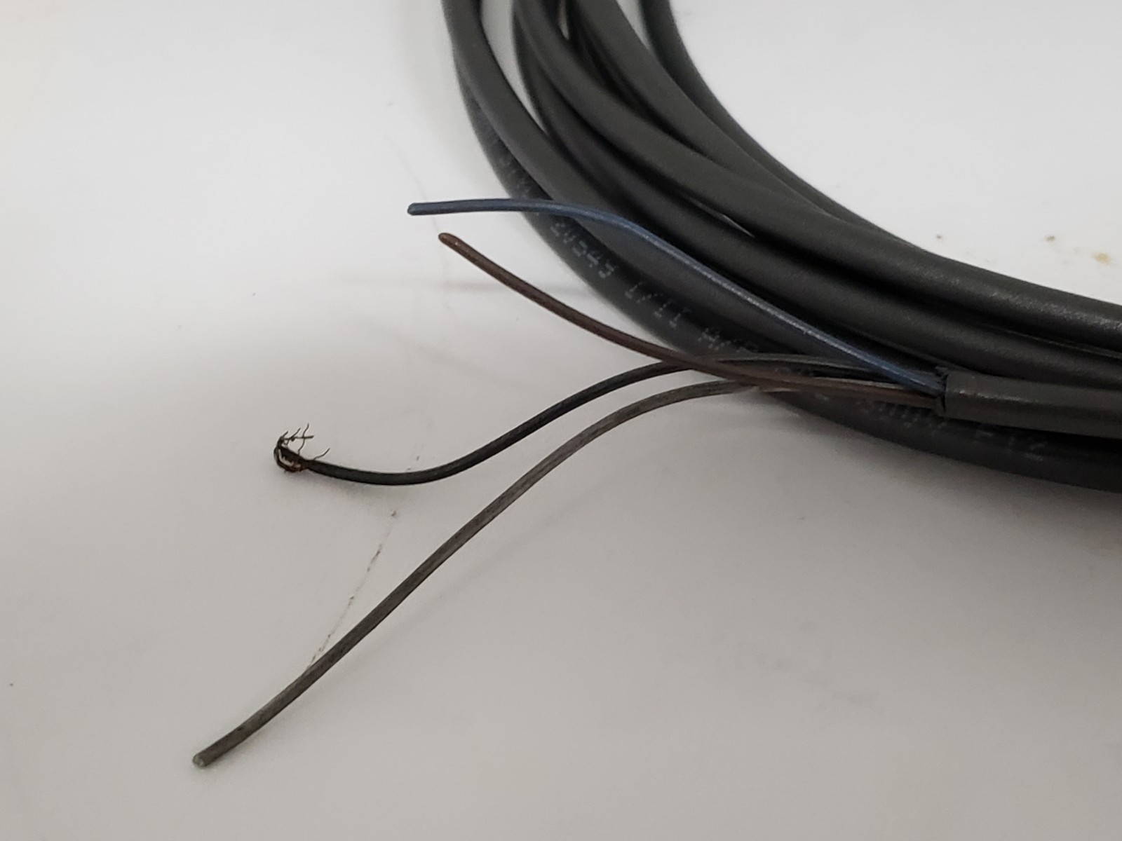 IFM ELECTRONIC EVC151 CORDSET M8 FEMALE STRAIGHT