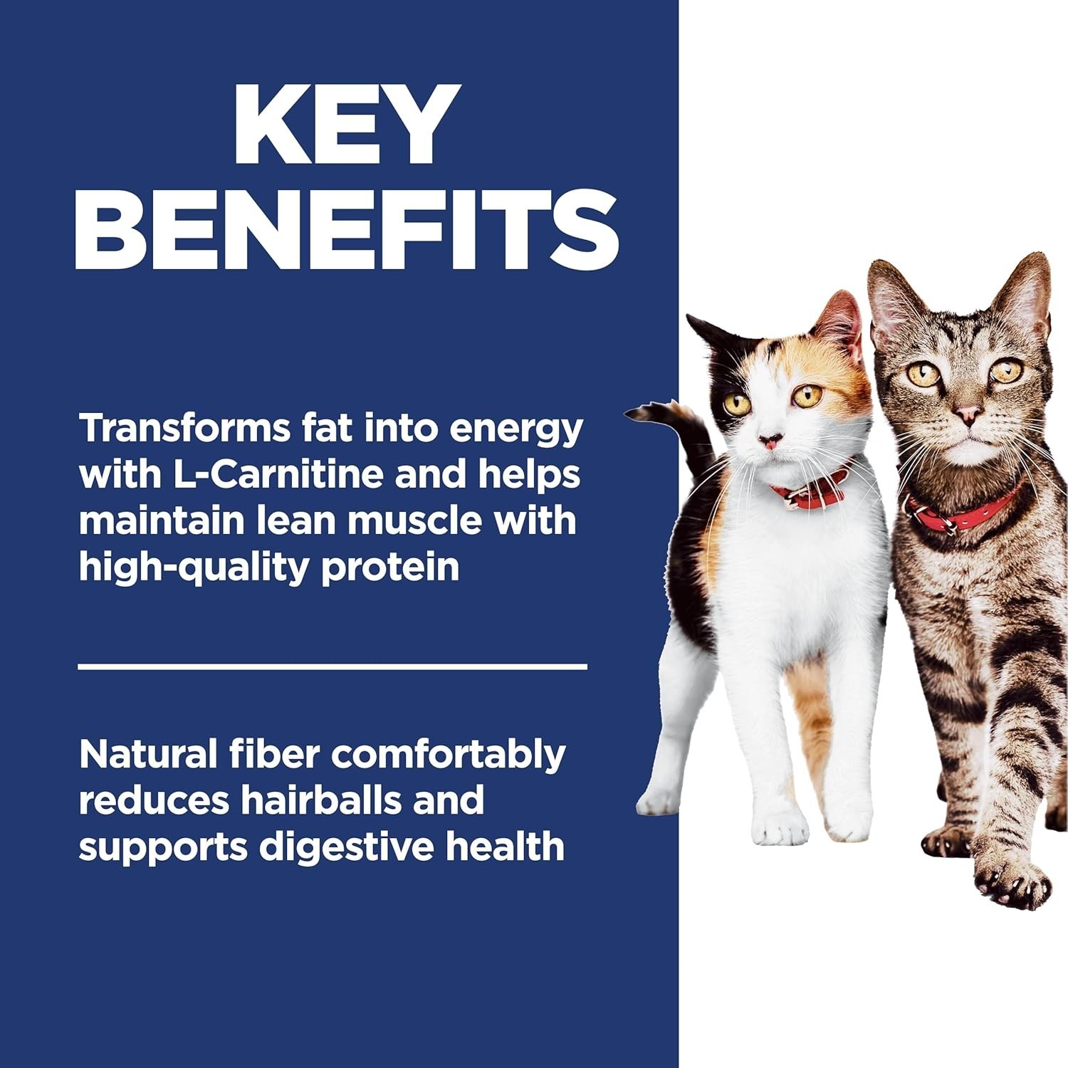 Hill’s Science Diet Multiple Benefit Chicken Cat Food 15.5lb