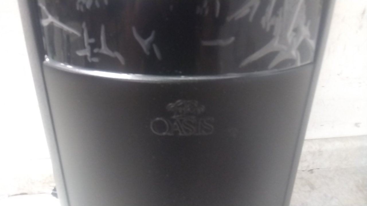 Oasis POUD1SHS 40-1/2 In H 115VAC Black Freestanding Plumbed Water Dispenser