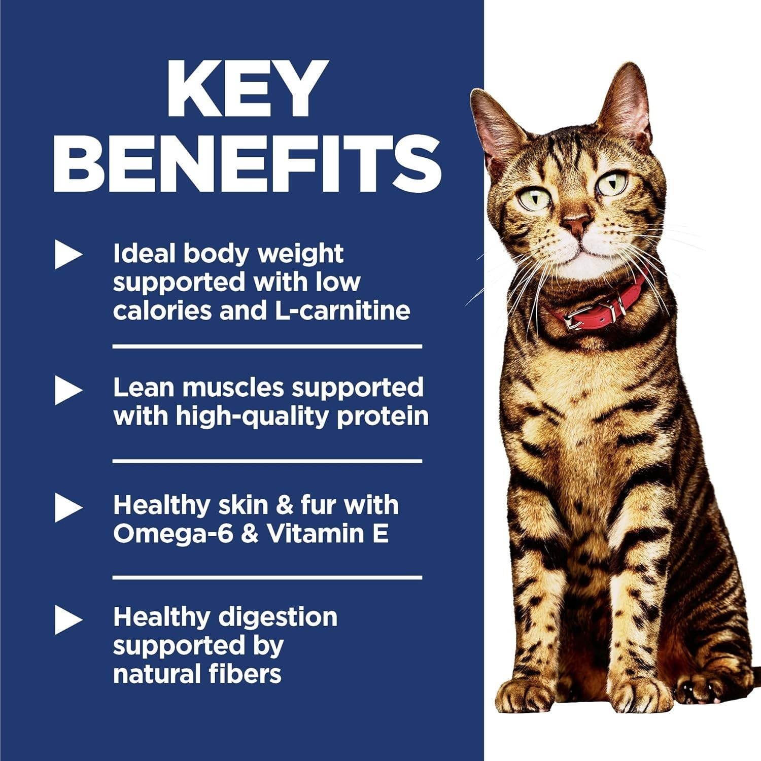 Hill’s Science Diet Adult 1-6 Light Dry Cat Food, Chicken, 16 lb. Bag