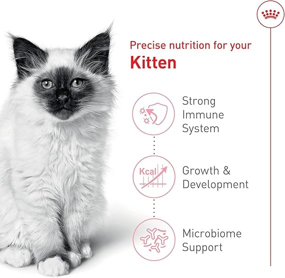 Feline Health Nutrition Kitten Dry Cat Food, 14 lbs.