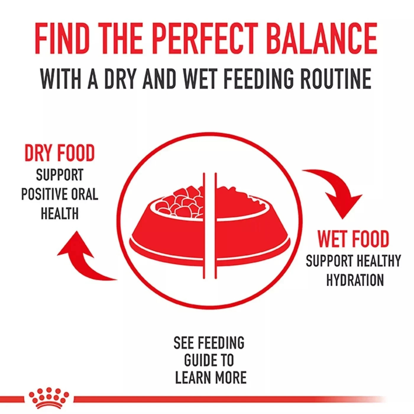 Royal Canin Feline Health Nutrition Kitten Dry Cat Food, 14 lb