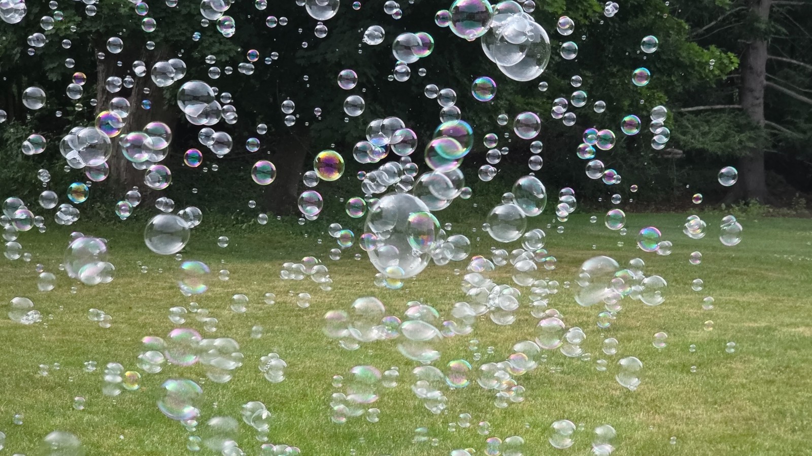 Le Maitre Bubble Master CLB-2012 Bubble Machine (002)