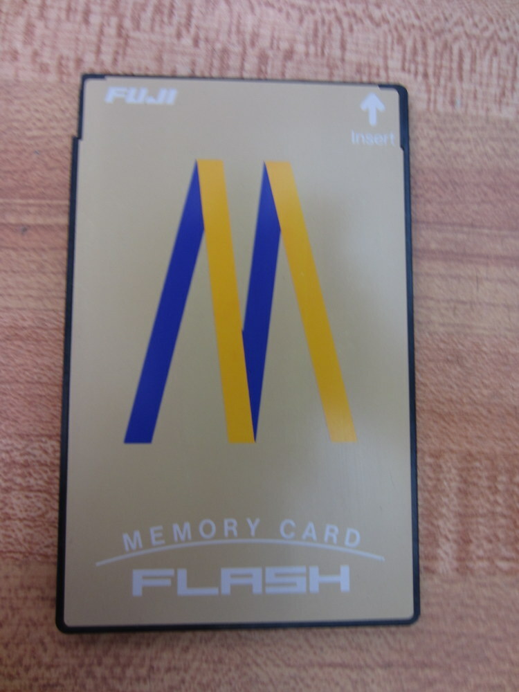 Fuji P4400 Memory Card