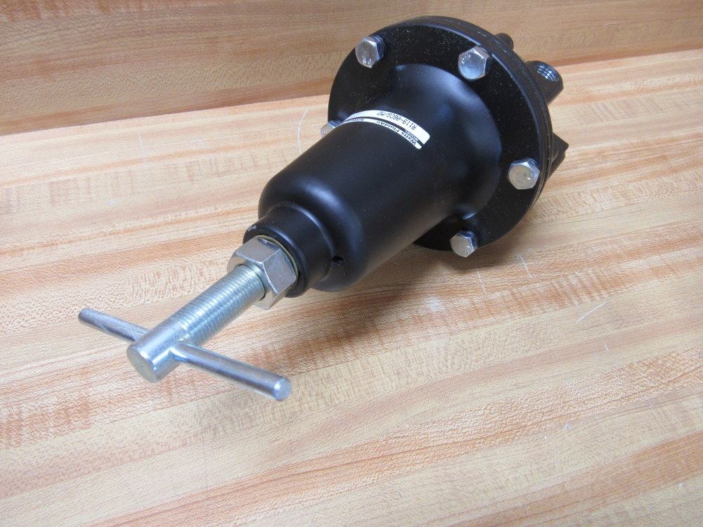 Watts R119-06CG/M2 Regulator w/Gauge R11906CGM2