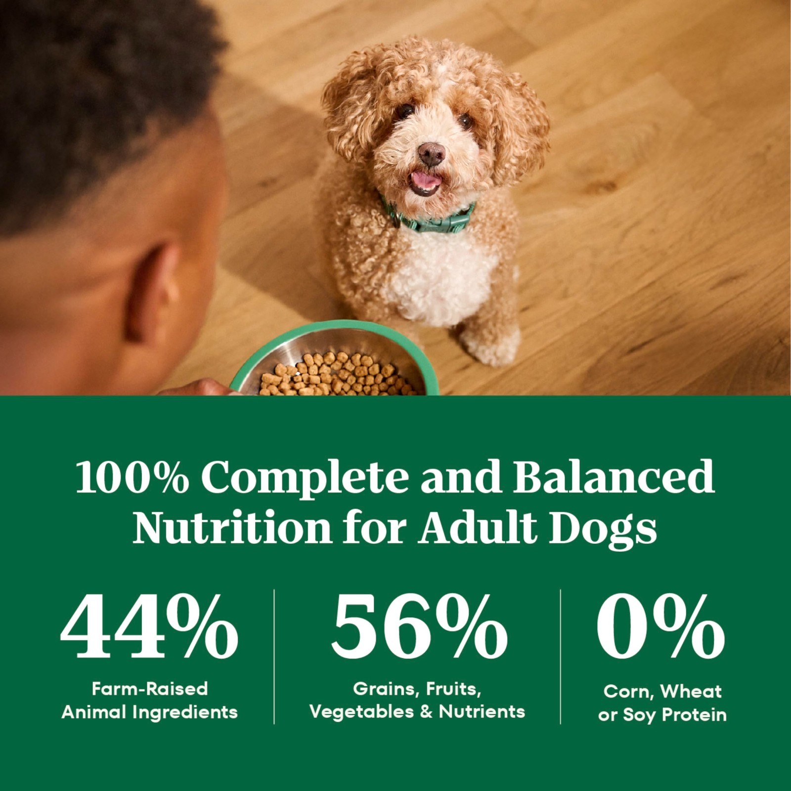 Nutro Natural Choice Small Bites Dry Dog Food, Adult Dog Food Dry Chicken, 30 lb