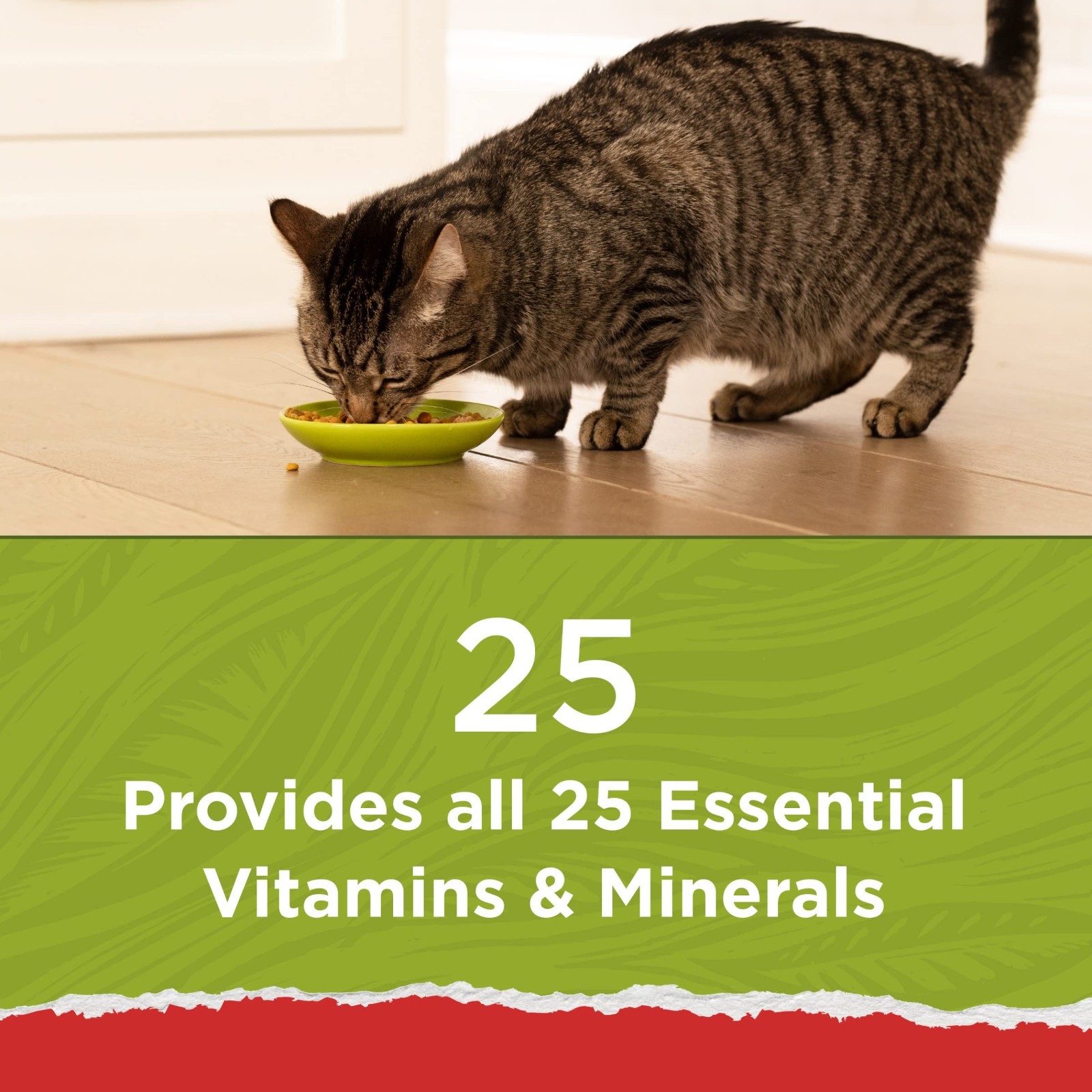 Purina Cat Chow Naturals All Life Stages Cat Dry Food, Chicken, Natural,13Lb,4PK