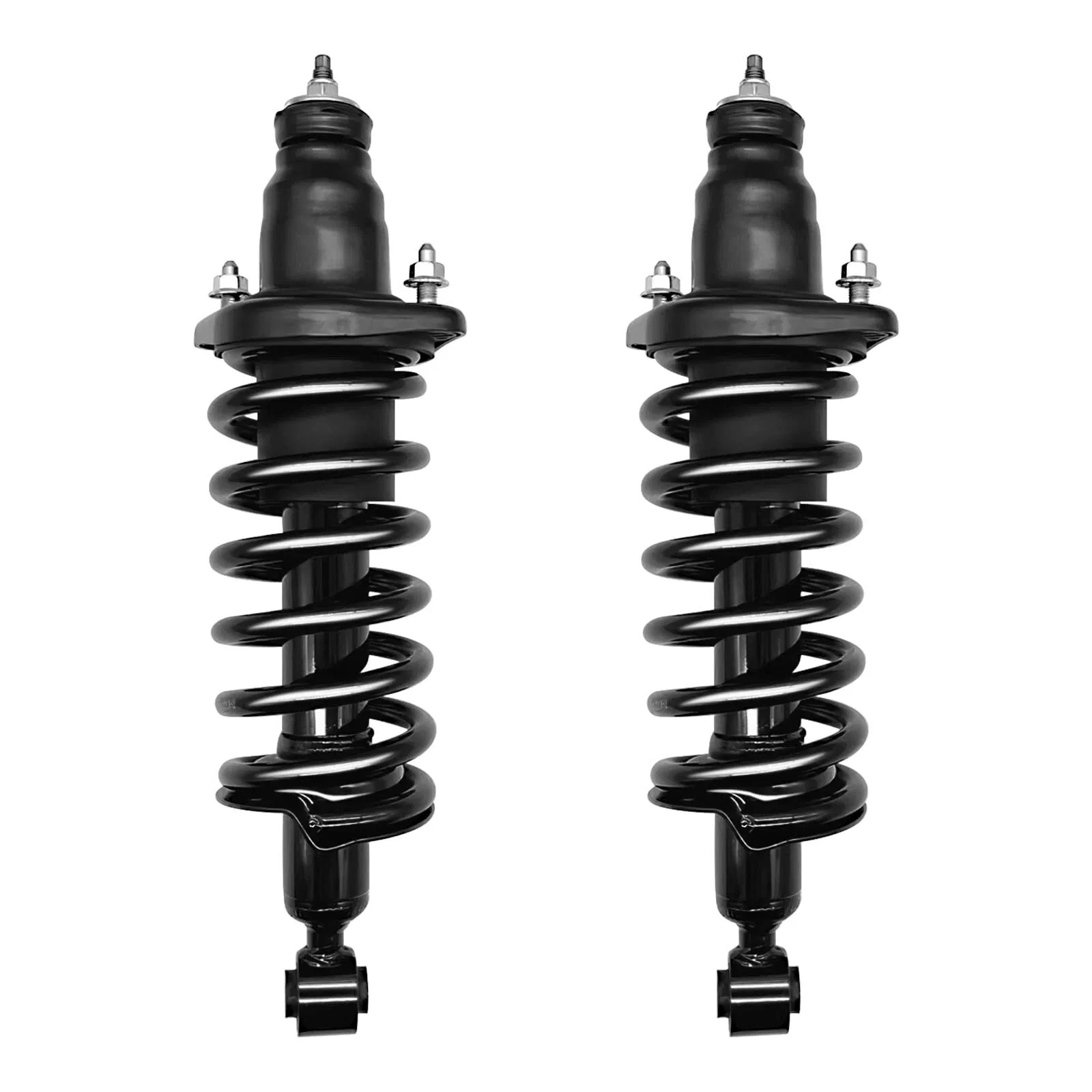 US GARVEE Rear Pair Complete Strut Spring Assembly Compatible for 2009-2010 Jour
