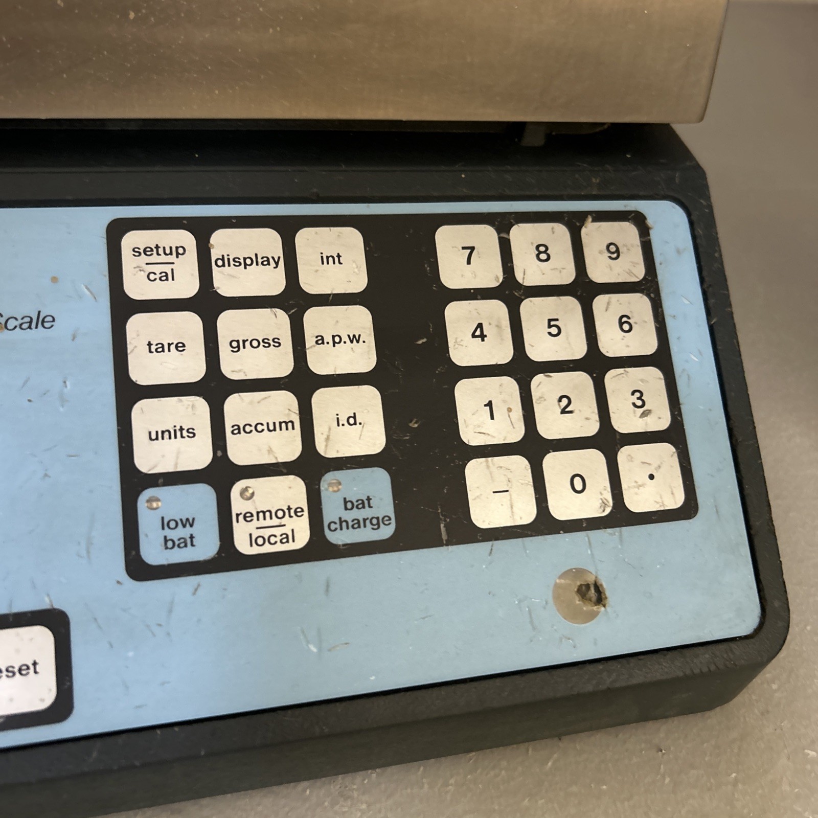 Setra Super Count Scale 50000G 110 Lbs – High Resolution Counting Scale