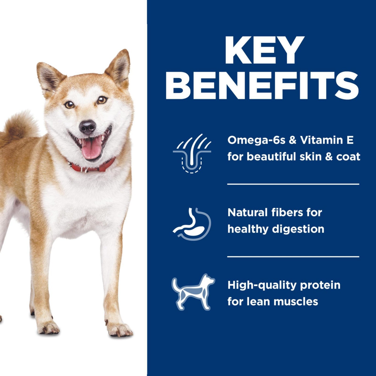 Hill’s Science Diet Adult 1-6, Adult 1-6 Premium Nutrition, Dry Dog Food, 30lb