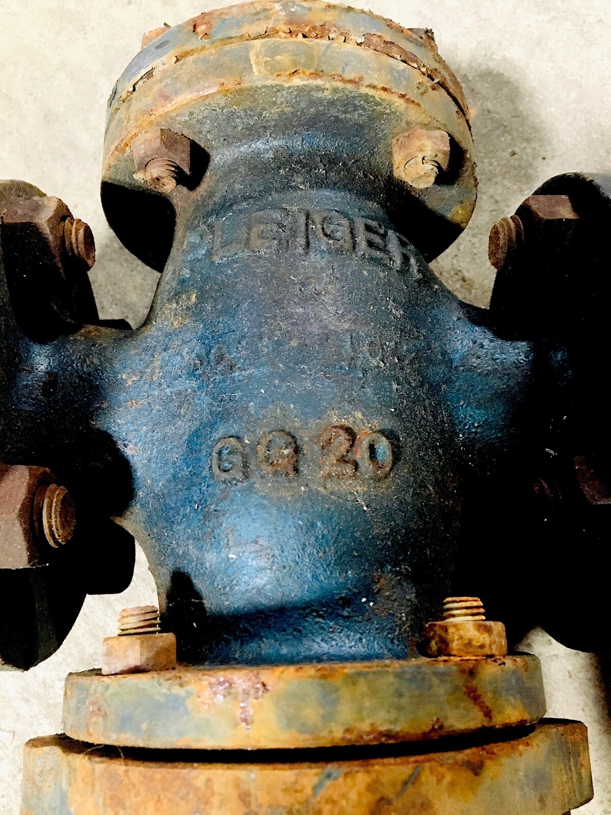 PLEIGER GG20 DN25 PN 16 Actuated Globe Valve