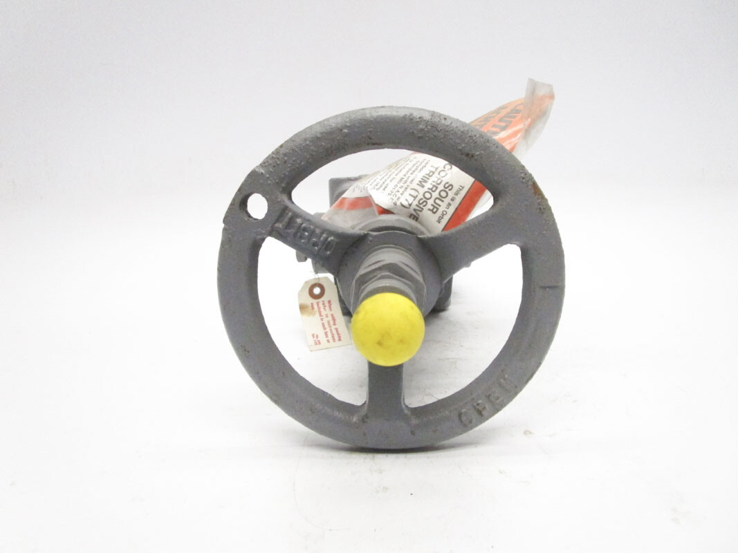 CAMERON B16.34 NPS1CL600 1480PSI NSNP