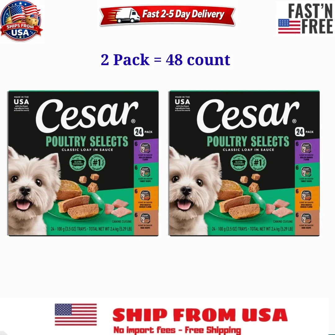 Cesar Classic Loaf in Sauce Adult Wet Dog Food,Variety Pack (24 Count, Pack of 2