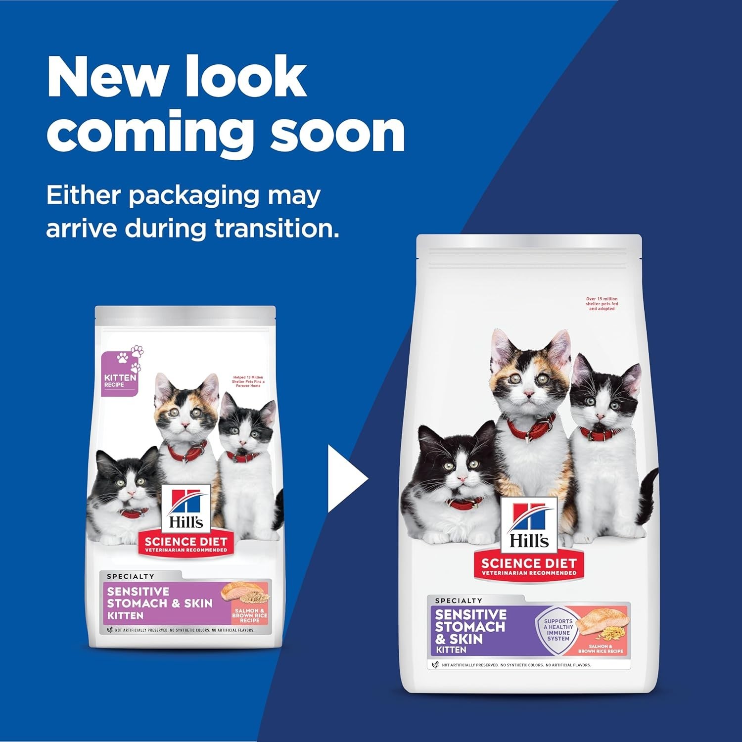 Hill’s Science Diet Kitten Sensitive Stomach Salmon Cat Food 6lb
