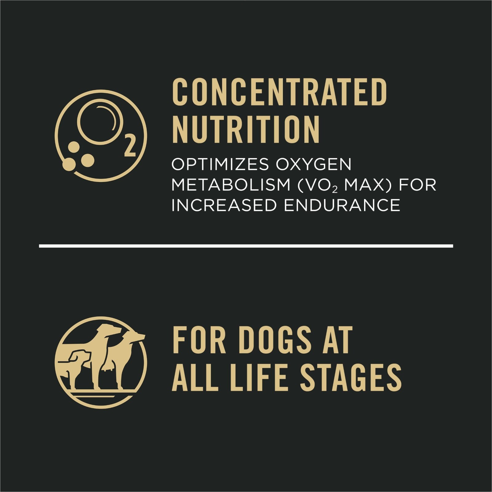 Purina Pro Plan Sport Performance 30/20 All Life Stages Dry Dog Food,Salmon,33lb