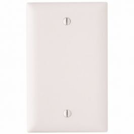 Pass & Seymour TP13W 1-Gang Blank Wall Plate, White