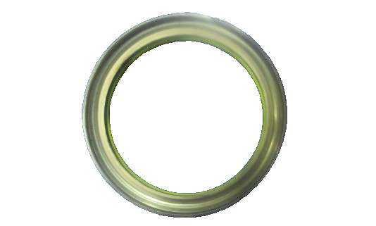 EDWARDS IXH/IXL/GXS/IGX/IXM oil seal