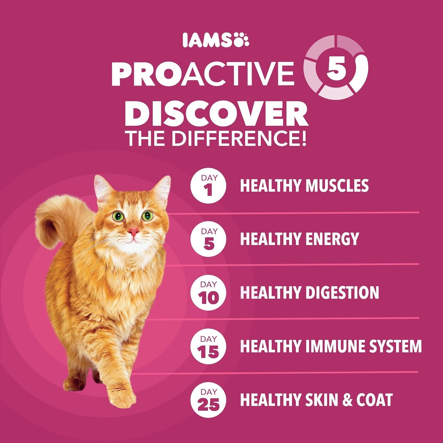 2 Pack, IAMS Proactive Health Adult Dry Cat Food – Urinary Tract Health, 16 LB