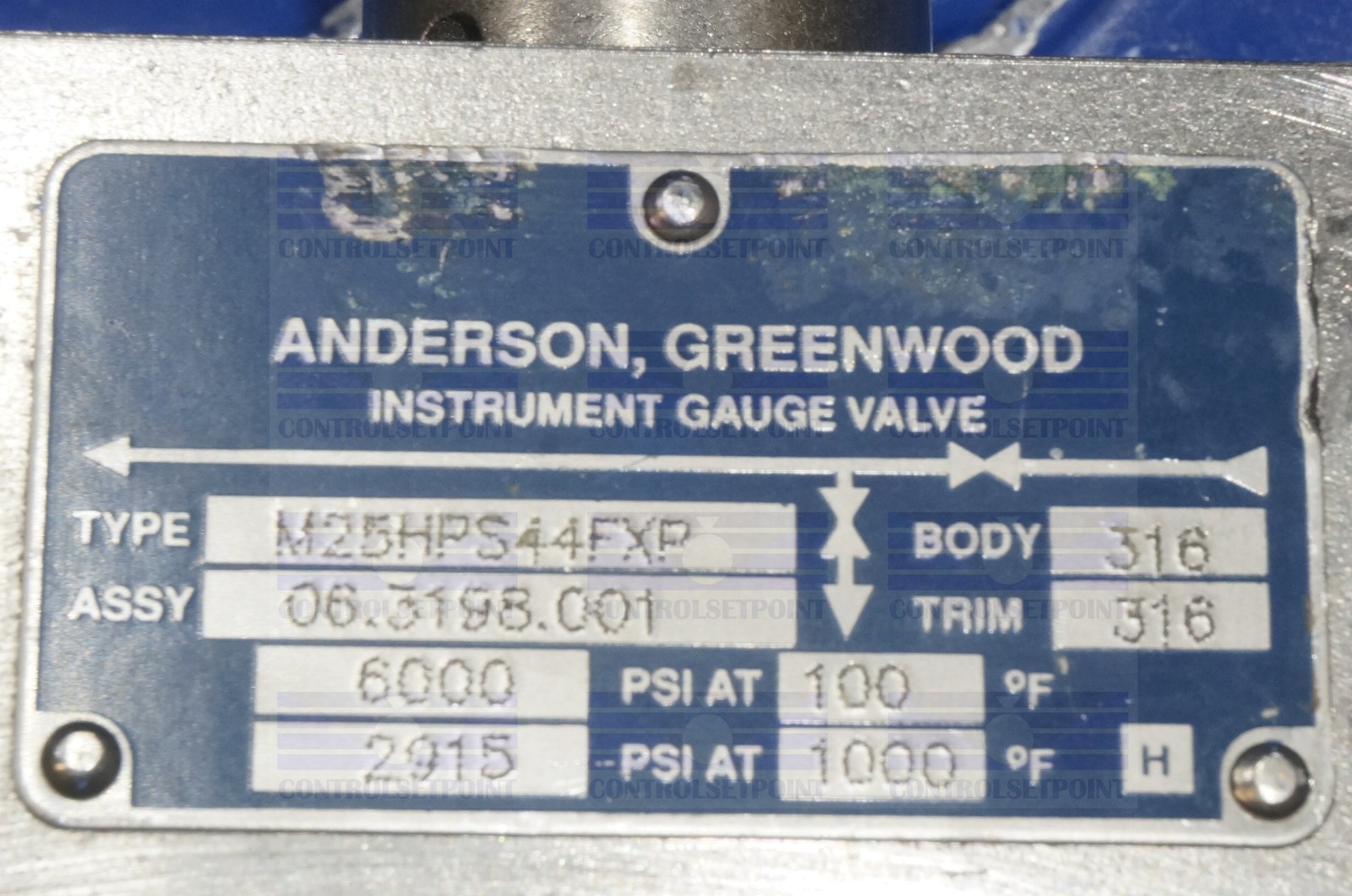ANDERSON GREENWOOD MANIFOLD M25HPS44FXP USD 2 VALVE MANIFOLD
