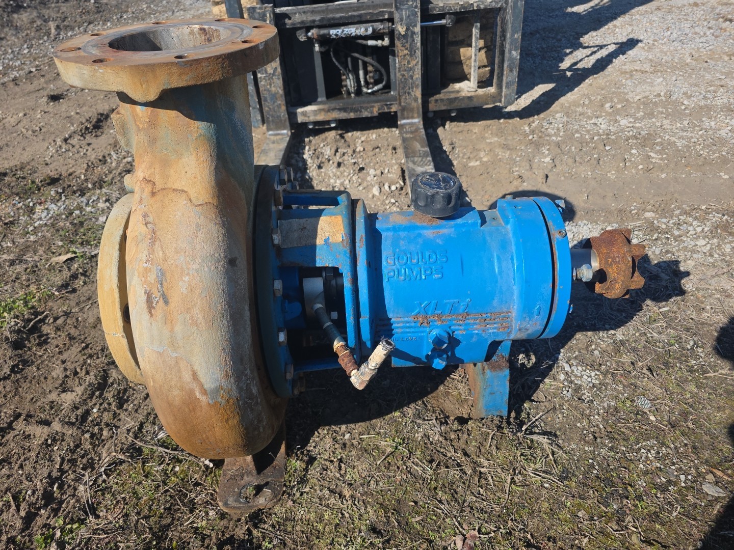 6X8-13 Goulds 3196XLT IFrame Pump 316SS