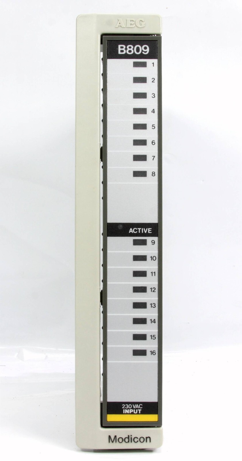 *New* Schneider Modicon Plc Module AS-B809-016 800 I/O 230VAC IN 16PT