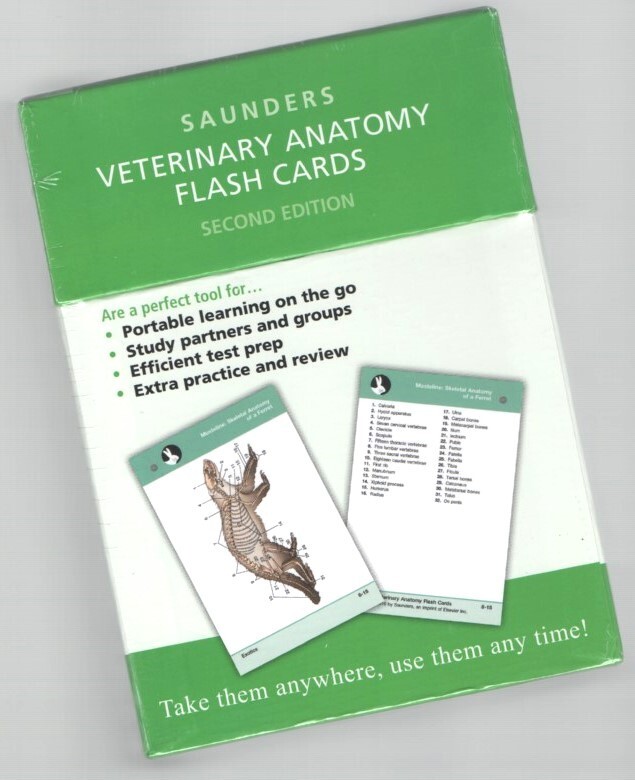 Canine + Feline Veterinary Anatomy Flashcard Set LFA # 2026 Dog Cat Horse