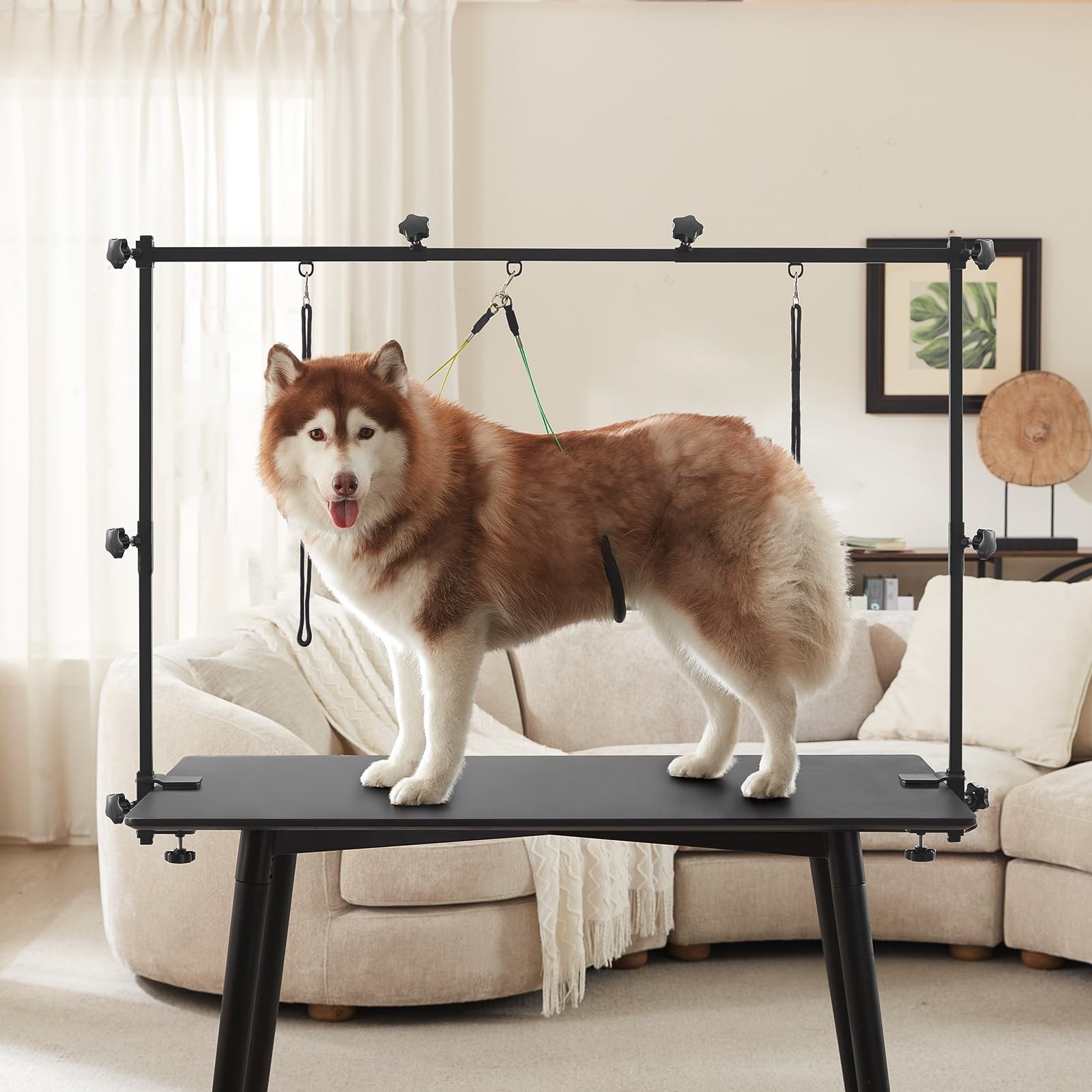 Home Dog Grooming Table Arm Adjustable 37″ Height, 35″-51″ Width Dog Grooming…