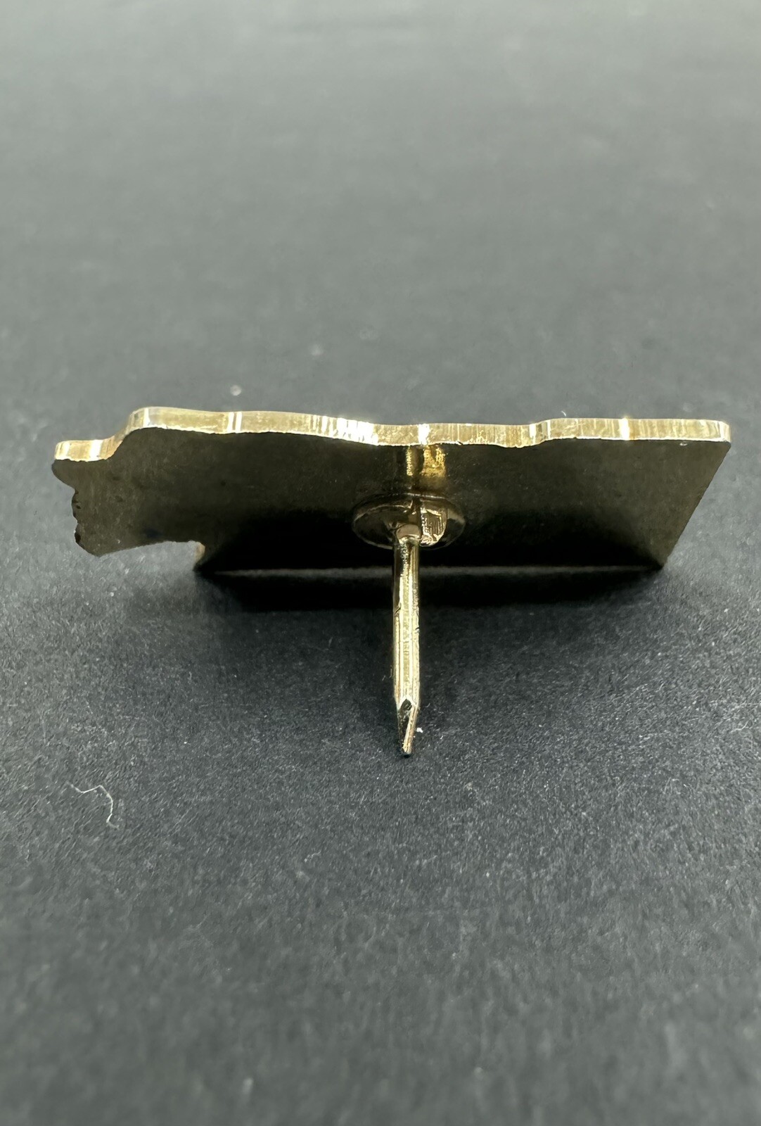 Vintage Pin Washington State Empire Builder IECEA White & Blue