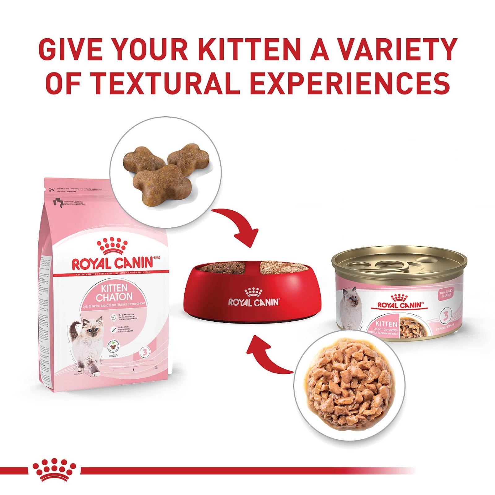 Royal Canin Health Nutrition Kitten Thin Slices in Gravy Wet Cat Food -3oz, 36CT