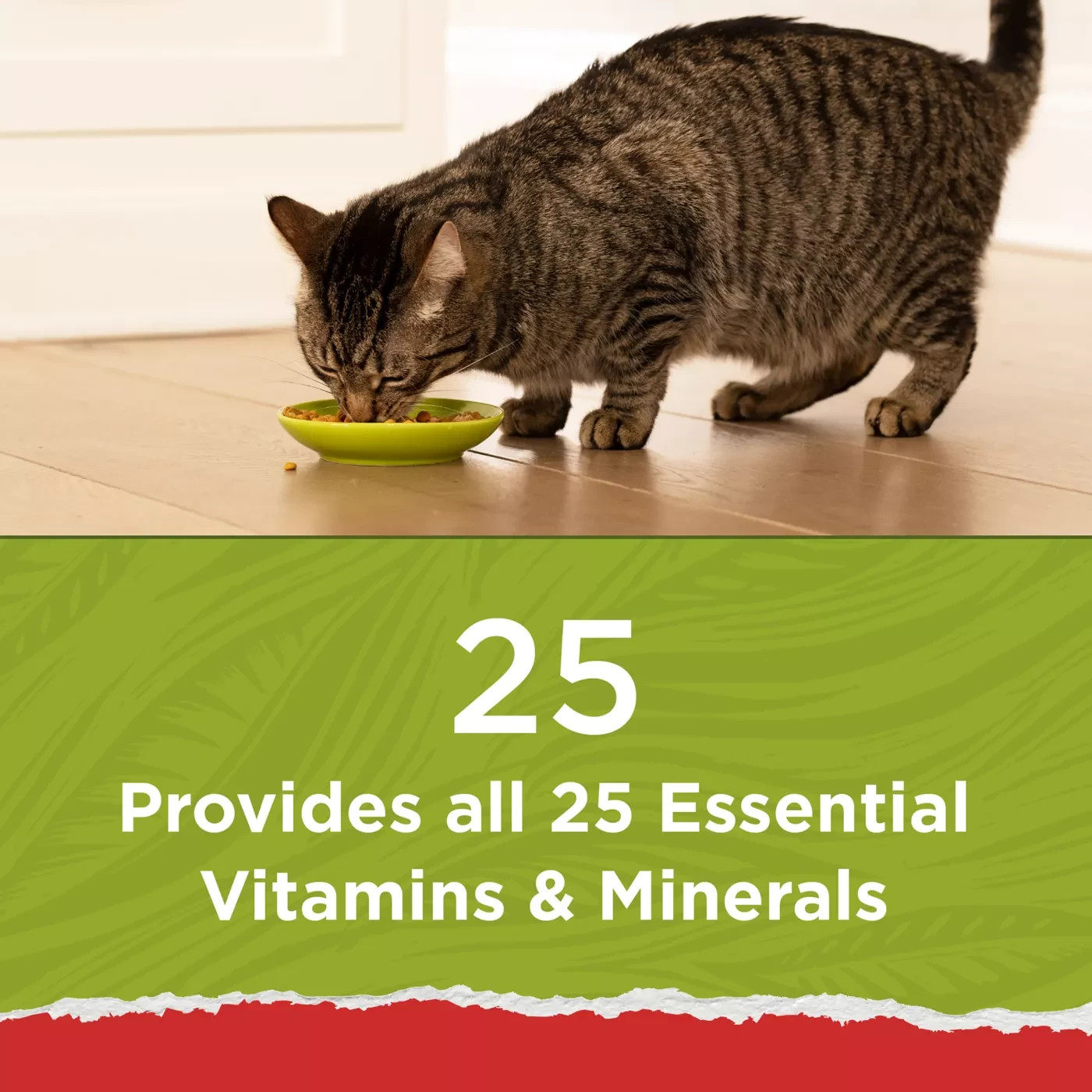 3 PACK Purina Cat Chow Naturals, Dry Cat Food, Chicken & Salmon, 18 lb Bag