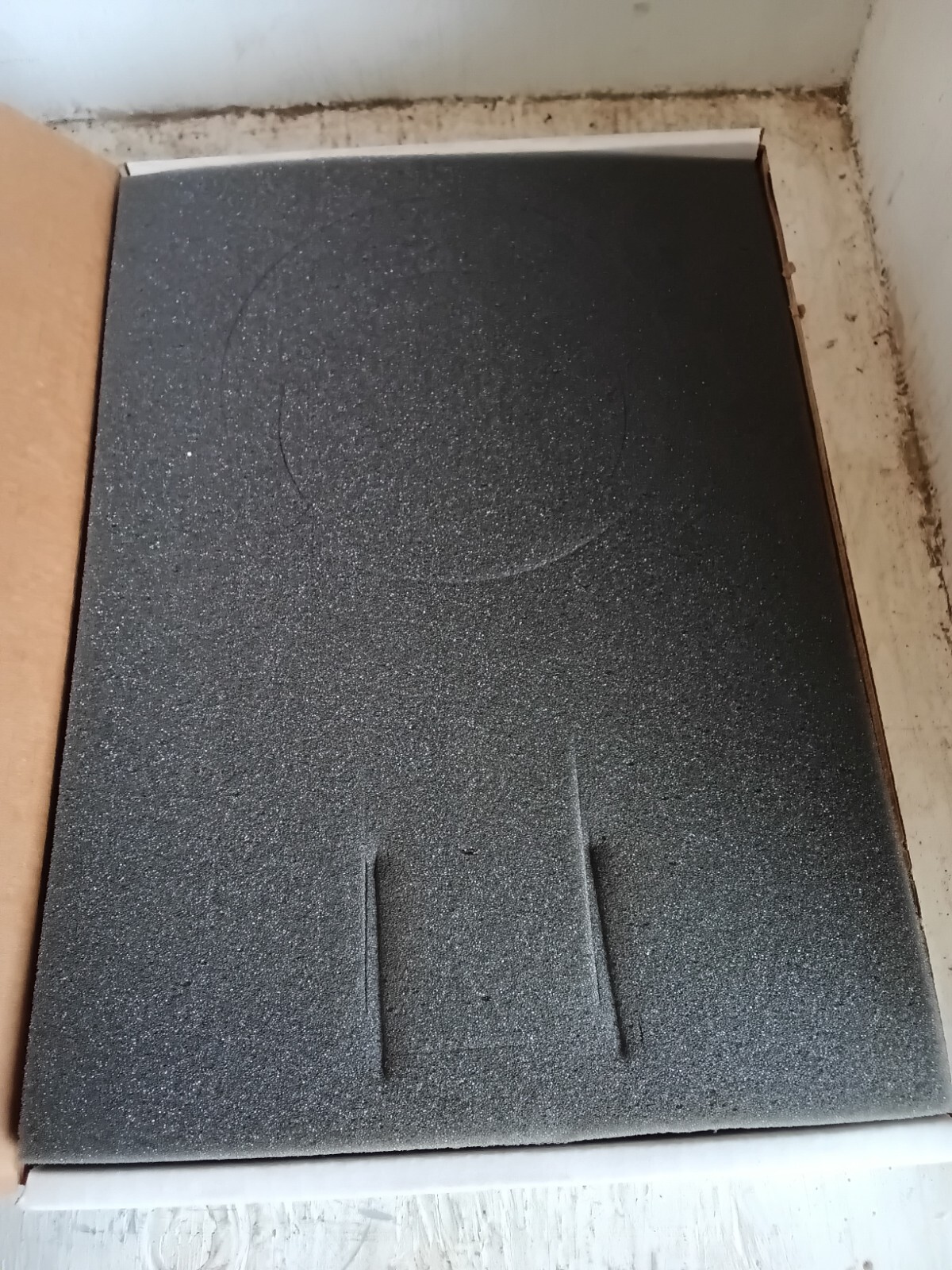 Oseco Rupture Disk D04-0460-151-1-E 316/TEF 4″ 28.00 PSIG @ 72.00*F – (C8B)