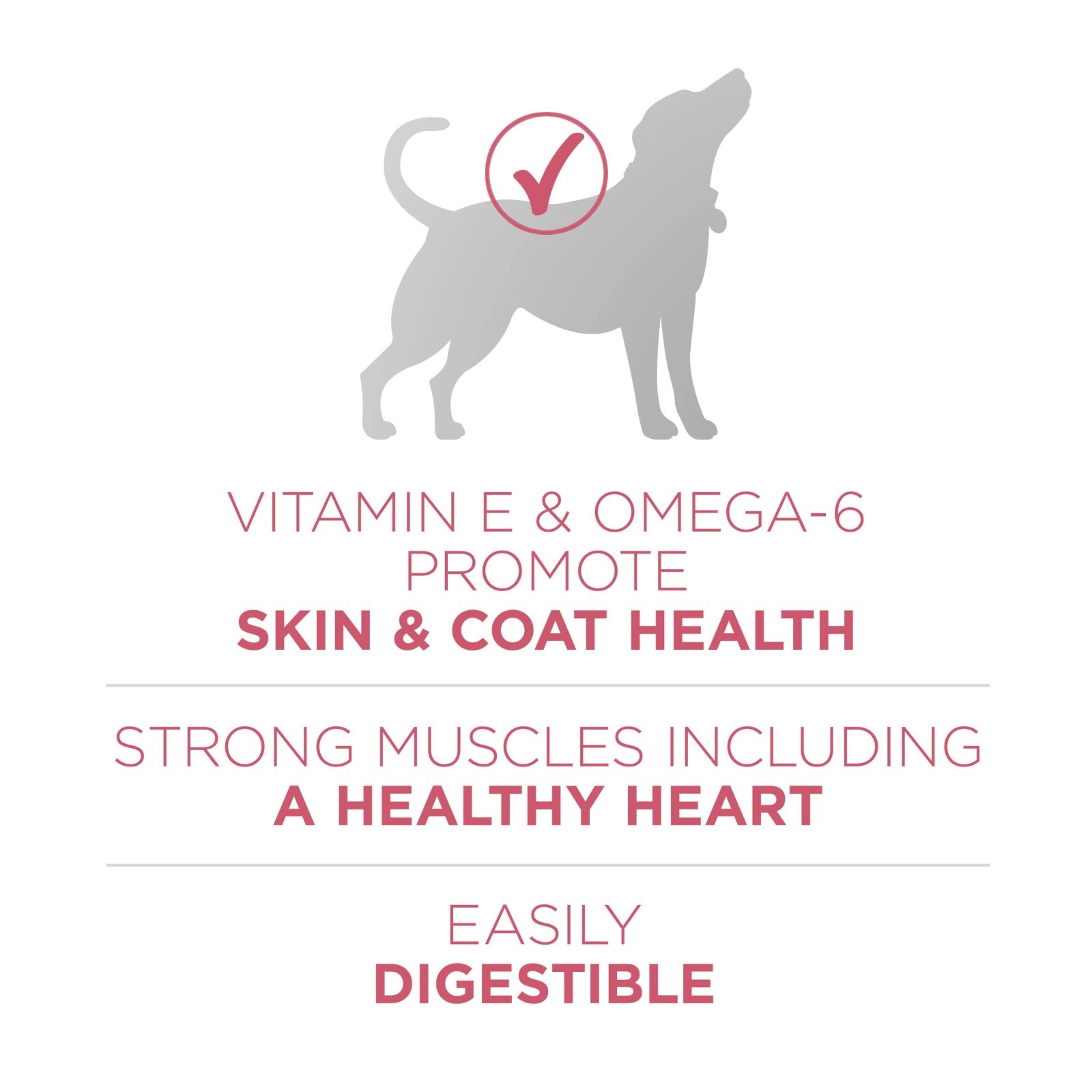Purina ONE Natural, Sensitive Stomach Dry Dog Food, +Plus Skin & Coat, 31.1 lb